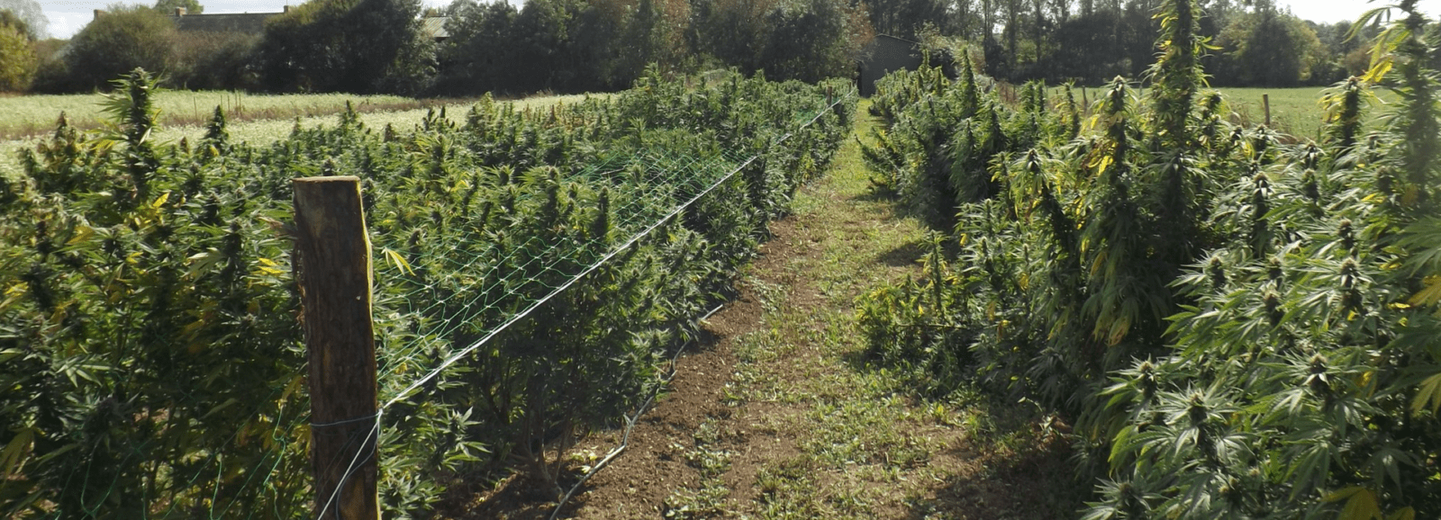 bannière ferme